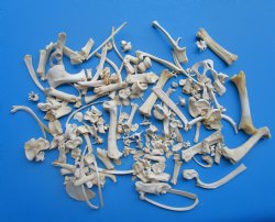 200 Assorted Tiny a...