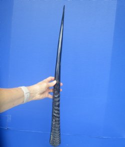 Polished African Ge...