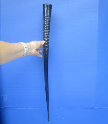 Polished African Gemsbok Horn (26.50") -Buy this for $44.99