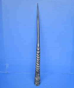 Polished African Ge...