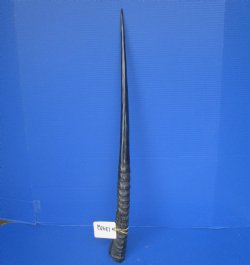 Polished African Ge...