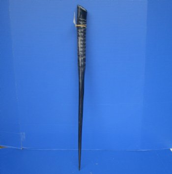 Polished African Gemsbok Horn (28.75") -Buy this for $44.99