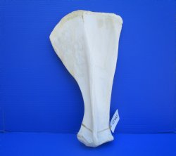 Camel Shoulder Blad...