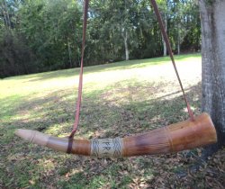 Blowing Horn with E...
