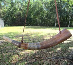 Blowing Horn with E...