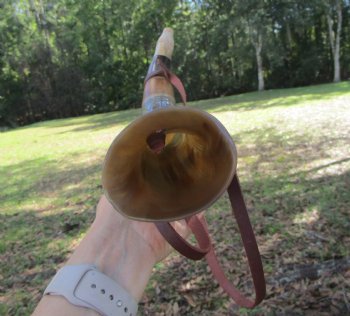Blowing Horn with Engraved Elder Futhark Runes Characters (17.50") - $33.99 each