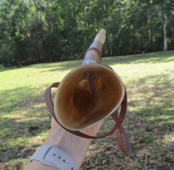 Engraved Elder Futhark Runes Viking War Horn (17.50") - $33.99 each