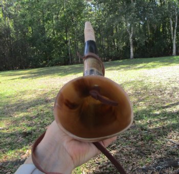 Carved Viking War Horn, Authentic Norse Decor & Reenactment Piece (18.25") - $33.99 each