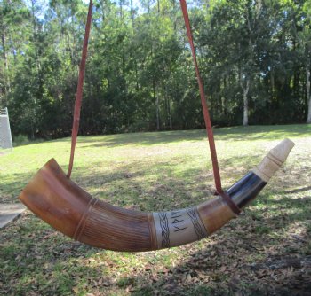 Carved Viking War Horn, Hand-Engraved Elder Futhark Runes (18-7/8") - $33.99 each