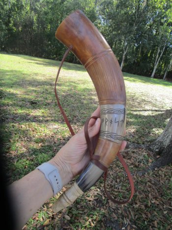 Carved Viking War Horn, Hand-Engraved Elder Futhark Runes (18-7/8") - $33.99 each