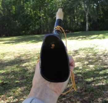  Polished Buffalo Blowing Horn, Viking War Horn (17.50") - Buy this for $19.99