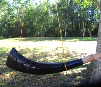  Polished Buffalo Blowing Horn (16.50) - Buy this for $19.99