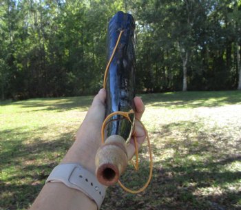  Polished Buffalo Blowing Horn (16.50) - Buy this for $19.99