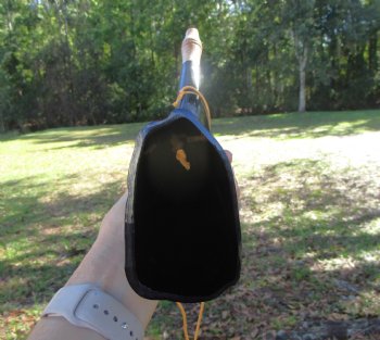  Polished Buffalo Blowing Horn (16.50) - Buy this for $19.99