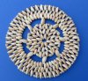 8 inches Round Open Weave Ringtop Cowry Shell Placements with a 1 inch Solid Cowry Border for Beach Themed Table Settings - Pack of 12 @ $3.05 each; Pack of 24 @ $2.48 each