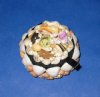3 inches Small Round Seashell Box covered with tiny natural shells - Packed 2 @ $5.00 each