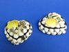 3-1/4 inches Small Pretty Seashell Heart Jewelry Box - Packed 2 @ $5.00  each