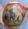 Real South African Decoupage Ostrich Egg with the African Big 5 Animals (Elephant, Lion, Leopard, Rhino and Cape Buffalo) and Map - you are buying the one pictured for $46.99