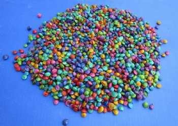 Tiny Dyed Umbonium Shells, 1/8 inch to 1/2 inch - <font color=red> Wholesale</font> Case: 25 @ $5.15 a kilo