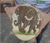 Real South African Scrimshaw Ostrich Egg with the African Big 5 Animals (Elephant, Lion, Leopard, Rhino and Cape Buffalo) - you are buying the one pictured for $52.99