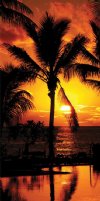 30" x 60" <FONT COLOR=RED>Wholesale</FONT> Red and Golden Sunset with Palm Trees Pool, Beach Towels - Case of 18 @ $5.85 each