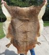 47 by 38 inches Real Blesbok Skin, Hide, Soft Tanned - You are buying this skin for $49.99