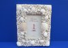 6-1/2 by 8 inches White Seashell Picture Frame for 3-1/2 x 5 inches Photos - Pack of 1 @ $12.99 each; Pack of 3 @ $9.99 each; Wholesale Case of 15 @ $6.40 each