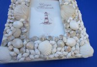 6 by 8 White Seashell Picture Frame for 3-1/2 x 5 inches Photos - $12.99 each;  3 @ $9.99 each
