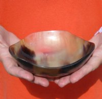 6 inches Buffalo Horn Bowls with Wavy Edge<font color=red> Wholesale</font> - 9 @ $10.75 each