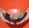 6 inches <font color=red> Wholesale</font> Buffalo Horn Decorative Bowls with a Wavy Edge - Case of 9 @ $10.75 each