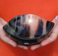 6 inches Buffalo Horn Bowls with Wavy Edge<font color=red> Wholesale</font> - 9 @ $10.75 each