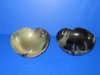 6-1/4 inches Heart Shaped Buffalo Horn Bowls, Highly Polished with a Marble Look - Pack of 1 @ $18.99; Pack of 4 @ $16.80 each