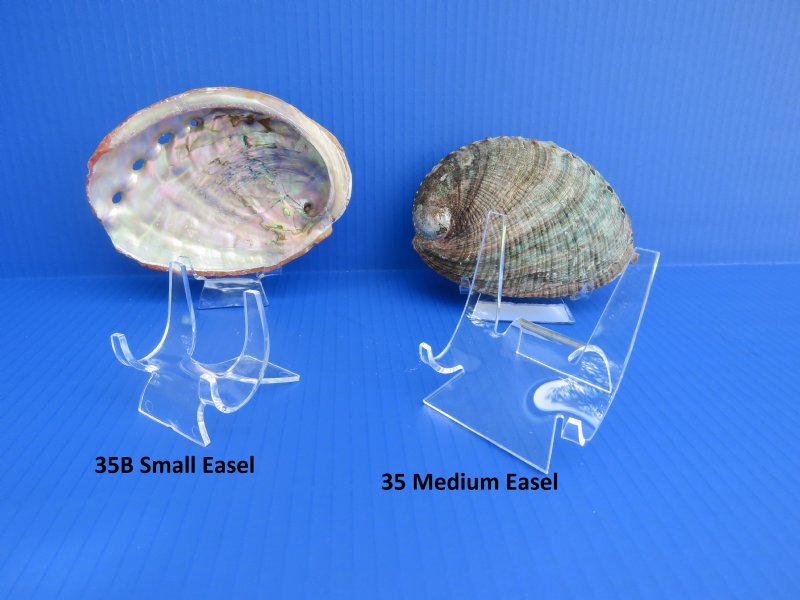 4 Leg Acrylic Easel Display Stand - Seashells Agate Slices 3 Sizes Available 