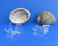 Small Acrylic Easel Stands, 2 by 2 inches, for Plates, Sand Dollars, Agates - 12 @ $2.40 each