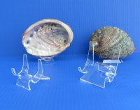 3 inches high by 2-3/4 inches wide Medium Acrylic Easel Stand for Agates, Plates, Sand Dollars, Abalone - Pack of 12 @ $2.16 each