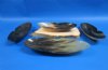10-1/2 by 4 inches Boat Shaped Horn Bowls <font color=red> Wholesale</font> - 9 @ $11.00 each