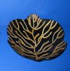 7-1/2 inches <font color=red> Wholesale</font> Buffalo Horn Leaf Shaped Bowls for Sale - Case of 6 @ $15.50 each