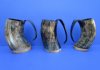6 to 7 inches <font color=red>Wholesale</font> Hand Scraped Look Authentic Buffalo Horn Mugs for Sale - Pack of 6 @ $16.50 each