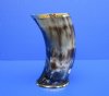 6 inches <FONT COLOR=RED>Wholesale</FONT> Decorative Buffalo Horn Drinking Glasses with Brass Trim - Case of 8 @ $11.50 each