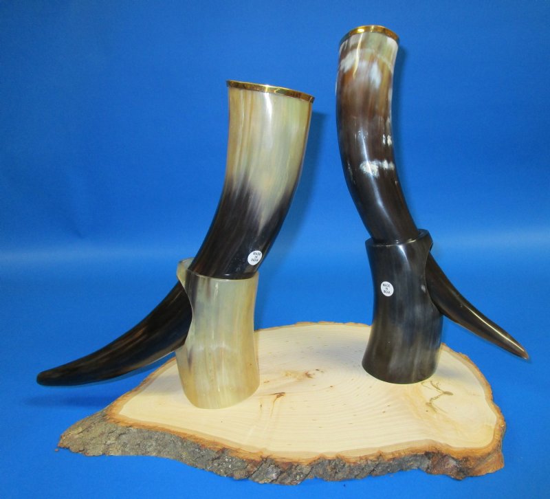 12 to 15 inches Wholesale Viking Drinking Horn with Brass Trim and Stand