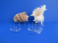 4 Leg Acrylic Display Stands <font color=red> Wholesale</font>  4-1/4 by 3-1/2 inches  - 60 @ $1.80 each