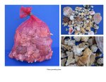 30 Pounds of Assorted Seashells for Gardens and Landscaping, (will have chipped edges and holes) - Case of 3 Ten Pound Bags  @ $10.40 a bag