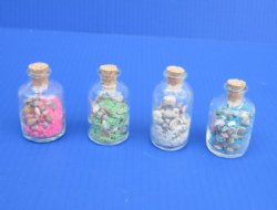 2 ounce Souvenir Sand and Shells Bottles with assorted colored shells and sand  - <font color=red> Bulk</font> Case of 192 @ .47 ea