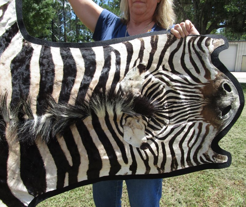 zebra rug real zebra rug real
