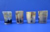3 inches <font color=red>Wholesale</font> Light Colored Buffalo Horn Shot Glasses, Cups for Sale -  Case of 14 @ $6.95 each