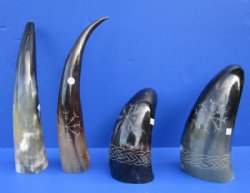 Engraved, Carved Cow Horns with Broken Arrow Design<font color=red> Wholesale</font> 10 to 17 inches - 8 @ $13.00 each