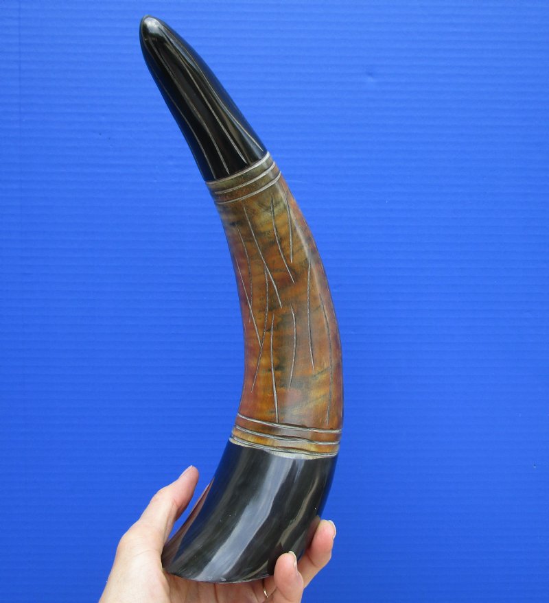 127/8 inches Carved Buffalo Horn for Sale, Black and Brown Rustic Look