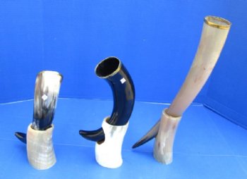 12 to 17 inches Polished Drinking Horns with Brass Rim and Horn Stands <font color=red> Wholesale</font> - 8 @ $14.85 each