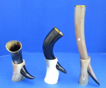 12 to 17 inches Polished Drinking Horns with Brass Rim and Horn Stands <font color=red> Wholesale</font> - 8 @ $14.85 each