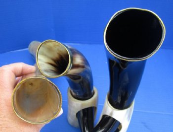 12 to 17 inches Polished Drinking Horns with Brass Rim and Horn Stands <font color=red> Wholesale</font> - 8 @ $14.85 each